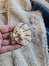 Hand holding a decorative shell brooch with pearls and gold details on a textured surface.