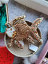 Gold fish beaded brooch hand embroidered with sequins beads crystals and metallic details
