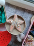 Peach starfish beaded brooch hand embroidered with pearls crystals and delicate bead details