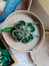 Green clover beaded brooch hand embroidered with rhinestones beads and crystal details