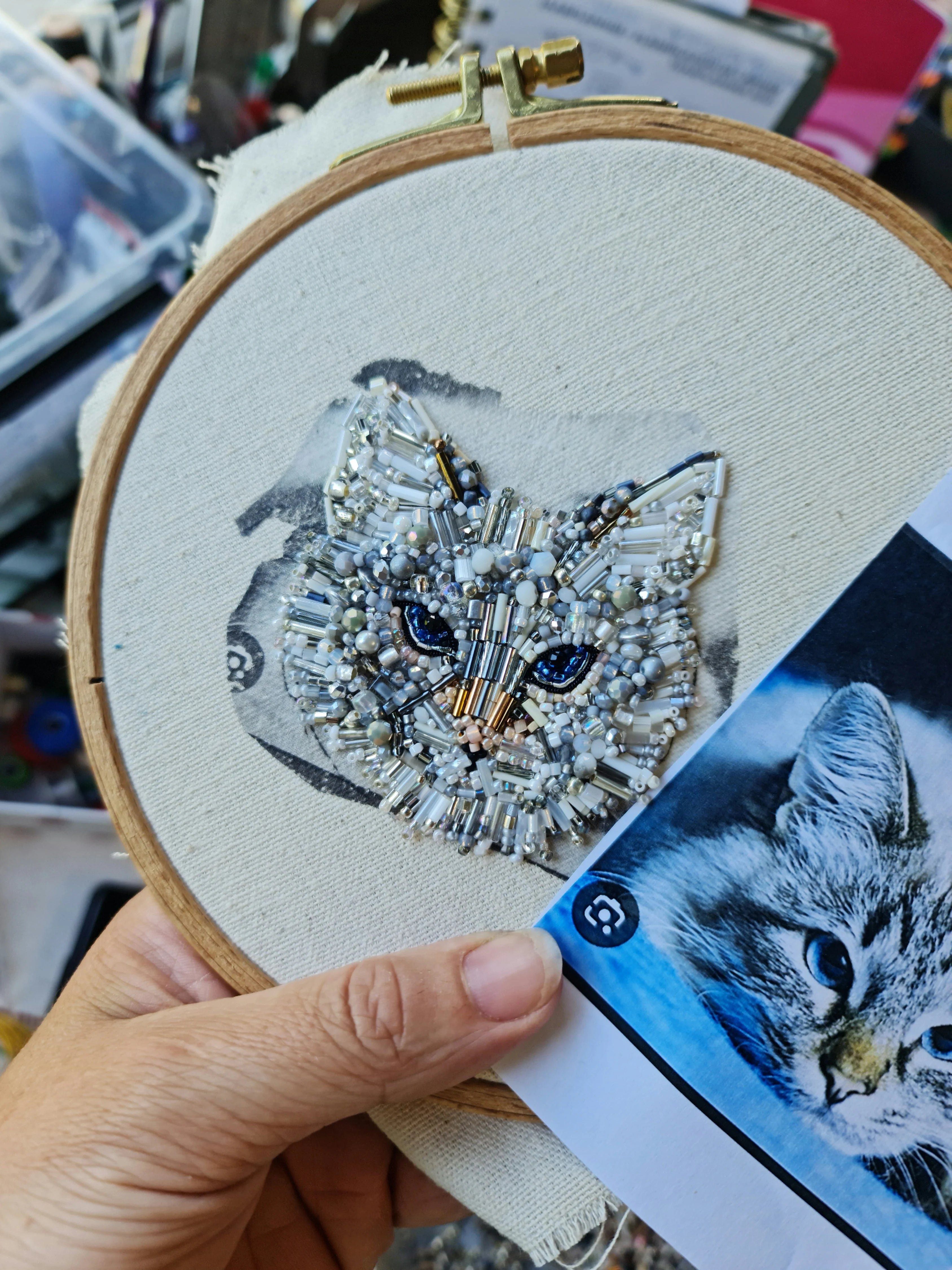 Embroidery hoop with a cat face design being compared to a photo of a real cat.