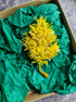 Mimosa beaded brooch hand embroidered with yellow beads crystals and green leaf details